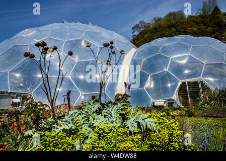 L'Eden Project Biodomes ,Cornwall Banque D'Images