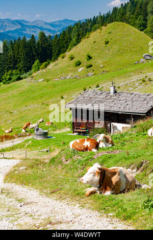 Alpes autrichiennes, à proximité et Arturhaus Bischofshofen Banque D'Images