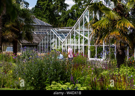 Les serres à la Cambridge University Botanic Garden Banque D'Images