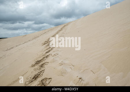 Zig-zag de piste conduit vers le haut des dunes de sable. Jour nuageux et humide sur Kangaroo Island, Australie du Sud Banque D'Images