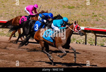 Les chevaux et jockeys vêtus de couleurs vives en direction de la ligne d'arrivée - Version 2 Banque D'Images