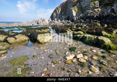 Bennett's bouche près de Bull Point, North Devon Banque D'Images