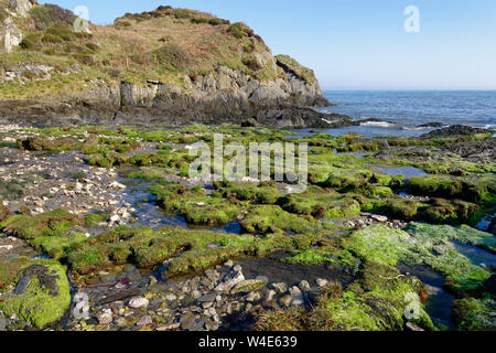 La bouche de Bennett, Bull Point, North Devon, UK Banque D'Images