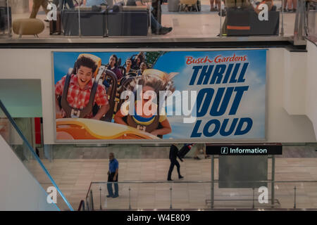 Tampa Bay, en Floride. 12 juillet 2019 Les Jardins Busch signe à l'Aéroport International de Tampa. Banque D'Images