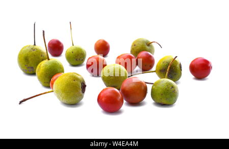 Mélange de fruits poires et prunes sauvages sur fond blanc.. Banque D'Images