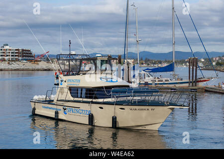 Le bateau Springtide Whale Watching et Eco Tours s'ouvre dans le port du centre-ville de Victoria, en Colombie-Britannique. Banque D'Images