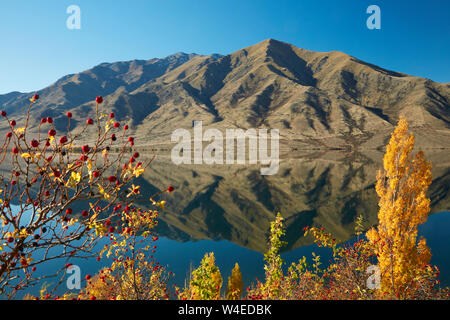 Automne, lac Benmore et plage de Benmore, Waitaki Valley, North Otago, île du Sud, Nouvelle-Zélande Banque D'Images