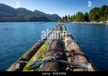 Radeau de bois à Westview Marina à Tahsis, près de Gold River, l'île de Vancouver, Colombie-Britannique, Canada Banque D'Images