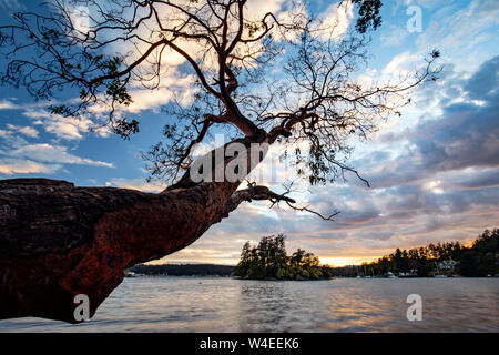 Voir l'arrivée du portage de Portage Park View Royal, près de Victoria, île de Vancouver, Colombie-Britannique, Canada Banque D'Images
