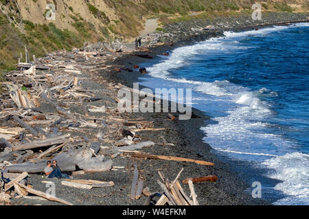 Spiral Beach près de Clover Point - Victoria, île de Vancouver, Colombie-Britannique, Canada Banque D'Images