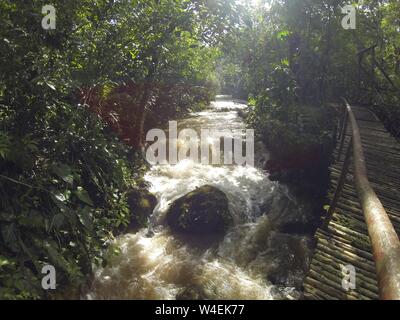 Jungle, rivière ou ruisseau de l'eau des inondations dans le parc national du Honduras près du lac Yojoa, rapids blancs de l'eau Banque D'Images