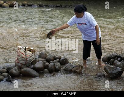 Bogor, Java ouest, Indonésie - Juillet 2019 : un senior women ramasse les débris de la rivière Ciliwung. Banque D'Images