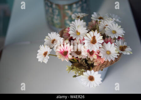 Ton doux belle fleur dans le pot sélectionner focus profondeur de champ Banque D'Images