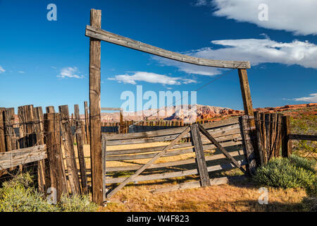 Gate à old corral dans peu de la Finlande, de l'or zone Butte National Monument, Mojave Desert, Nevada, USA Banque D'Images