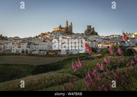 Olvera ville avec château et la cathédrale - Olvera, Cadiz Province, Andalusia, Spain Banque D'Images