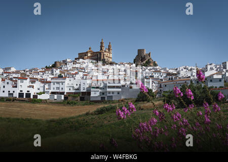 Olvera ville avec château et la cathédrale - Olvera, Cadiz Province, Andalusia, Spain Banque D'Images