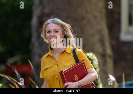 Londres, Royaume-Uni. 23 juillet 2019. Elizabeth Truss, député Secrétaire en chef au Trésor arrive au 10 Downing Street, Londres pour la dernière Theresa Mai Crédit du Cabinet Ian Davidson/Alamy Live News Banque D'Images