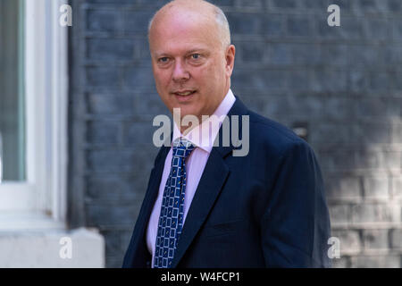 Londres, Royaume-Uni. 23 juillet 2019. Chris Grayling MP, PC, Secrétaire aux transports arrive au 10 Downing Street, Londres pour la dernière Theresa Mai Crédit du Cabinet Ian Davidson/Alamy Live News Banque D'Images