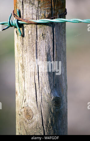 Détail d'un fil de fer barbelé sur une clôture à la campagne Banque D'Images
