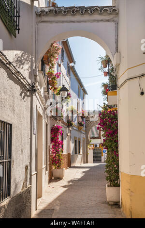 Calle Puerta del Sol, ruelle de contreforts entre les bâtiments, à Cabra, Cordoba Province, Andalusia, Spain Banque D'Images