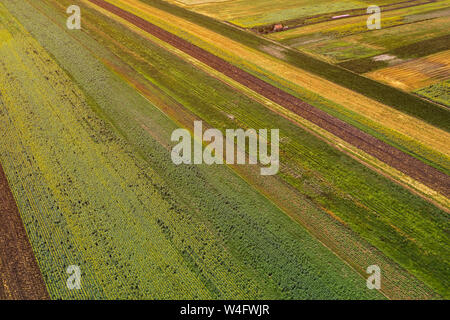 Vue aérienne de champs agricoles cultivées en été, la belle campagne paysage patchwork de drone pov Banque D'Images