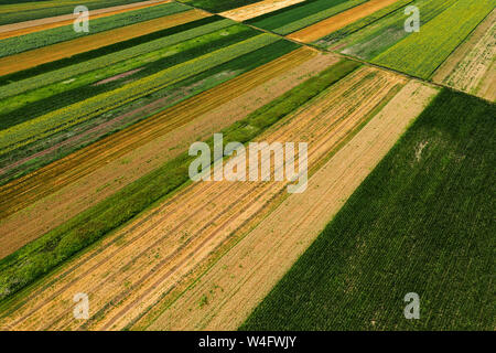 Vue aérienne de champs agricoles cultivées en été, la belle campagne paysage patchwork de drone pov Banque D'Images