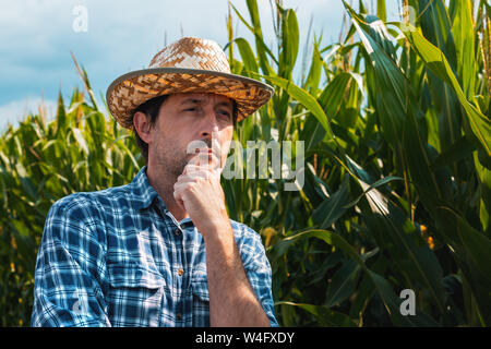 Agriculteur dans le champ de maïs responsable penser with hand on chin après vérification sur le développement des cultures de maïs Banque D'Images