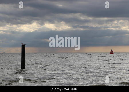 Seagull assis sur un post en attente de la pluie avec une bouée dans l'arrière-plan, Zoutelande, Pays-Bas Banque D'Images