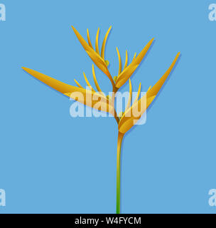 Bird of Paradise flower isolated on white background Banque D'Images