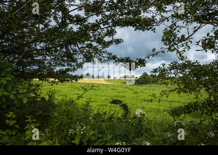 Une vue sur les terres agricoles, les champs en deux Pot House, comté de Cork, Irlande, Banque D'Images