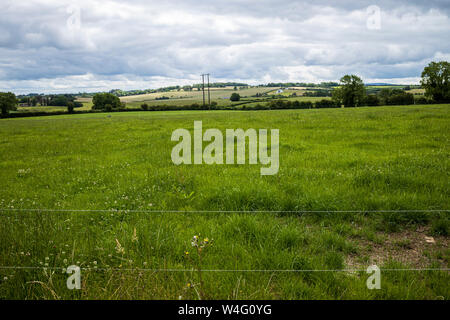 Une vue sur les terres agricoles, les champs en deux Pot House, comté de Cork, Irlande, Banque D'Images