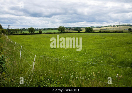 Une vue sur les terres agricoles, les champs en deux Pot House, comté de Cork, Irlande, Banque D'Images