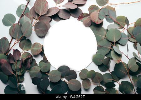 Design floral vert avec des branches d'eucalyptus et de forme arrondie Banque D'Images
