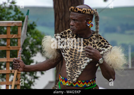 Les guerriers zoulous. Visite du roi d'acquisition de la Zulu Nation au Royal Welsh Show (RWAS) de Builth Wells. Llanelwedd, Powys, Pays de Galles. Banque D'Images