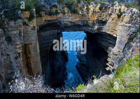 Tasman Arch et les diables Cuisine, péninsule de Tasman, Tasmanie, Australie Banque D'Images