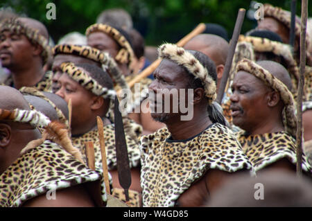 Les guerriers zoulous. Visite du roi d'acquisition de la Zulu Nation au Royal Welsh Show (RWAS) de Builth Wells. Llanelwedd, Powys, Pays de Galles. Banque D'Images