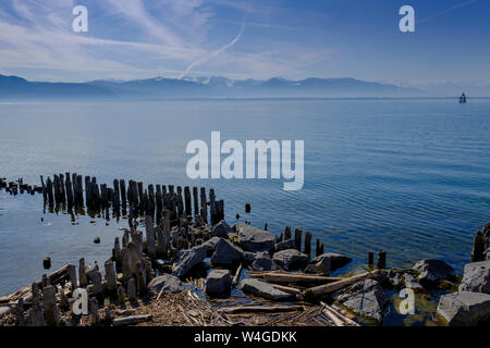 Piquets en bois dans le port, le lac de Constance, Lindau, Bavière, Allemagne Banque D'Images