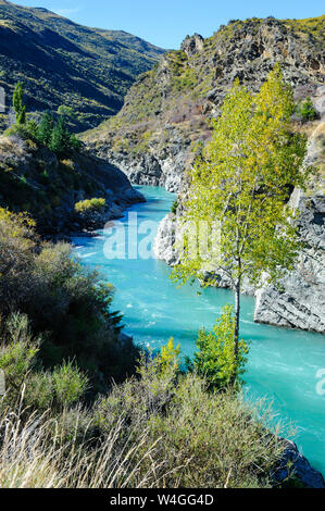 L'eau turquoise de la rivière Kawarau dans le Kawarau Gorge, île du Sud, Nouvelle-Zélande Banque D'Images