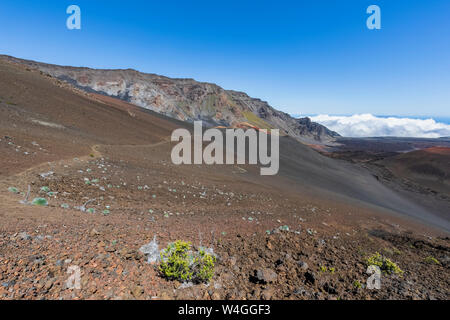 Sentier vers le cratère Kalu'uoka'o'o, glissant le Sentier des sables bitumineux, volcan Haleakala, le Parc National de Haleakala, Maui, Hawaii, USA Banque D'Images