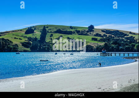 Plage de Colva, Akaroa Harbour, la péninsule de Banks, île du Sud, Nouvelle-Zélande Banque D'Images