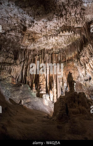 Grottes du Drach, Tropfsteinhöhle Cuevas del Drac, Drachenhöhle, Porto Christo, Mallorca, Espagne Banque D'Images