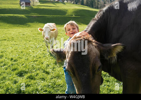 Happy boy avec cow on pasture Banque D'Images