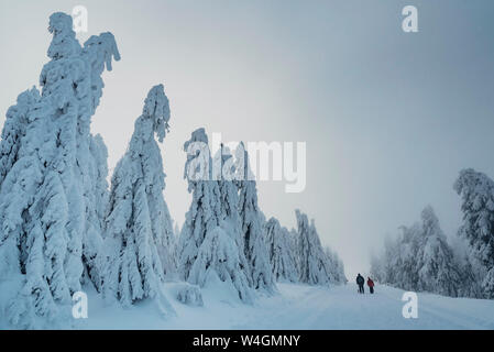 Deux randonneurs à paysage d'hiver, Arbermandel, Monts Métallifères, Allemagne Banque D'Images