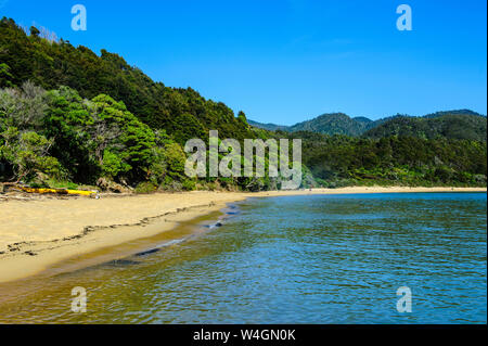 Longue plage de sable, parc national Abel Tasman, île du Sud, Nouvelle-Zélande Banque D'Images
