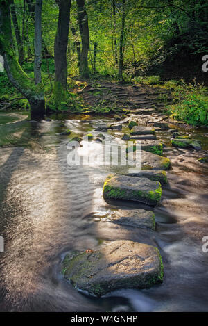 UK,South Yorkshire,Sheffield Rivelin Valley,Rivière,Stepping Stones,Rivelin Banque D'Images