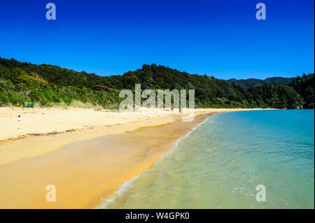 Longue plage de sable, parc national Abel Tasman, île du Sud, Nouvelle-Zélande Banque D'Images