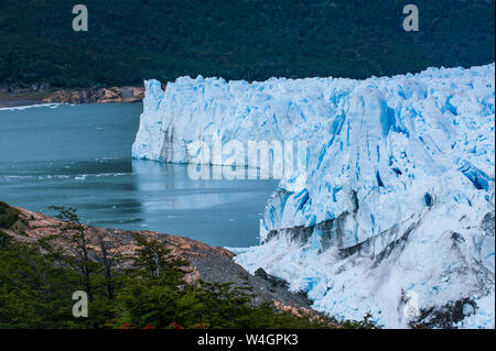Glacier Perito Moreno, El Calafate, en Patagonie, Argentine Banque D'Images