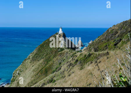 Nugget Point Phare, les Catlins, île du Sud, Nouvelle-Zélande Banque D'Images