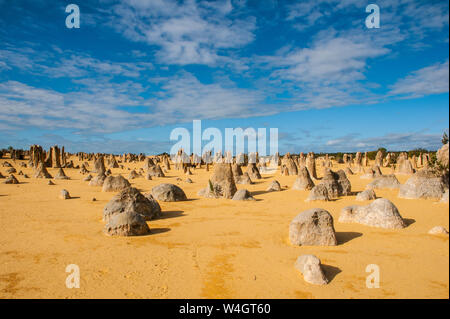Formations calcaires Pinnacle au coucher du soleil, le Parc National de Nambung, Australie occidentale Banque D'Images