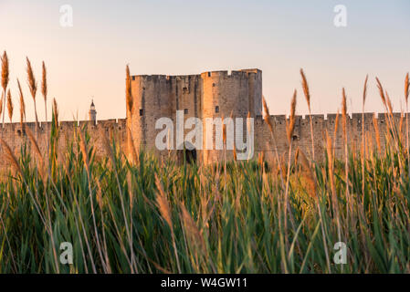 Coucher du soleil d'été à Aigues Mortes en Camargue Banque D'Images